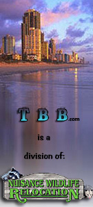 TBB is a division of Nuisance Wildlife Relocation, Inc.