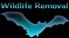 Wildlife Removal